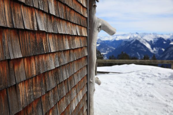 Cost of Cedar Siding Repair in Cary