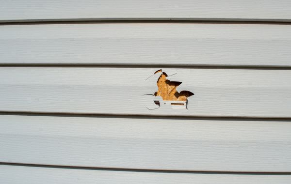 Cost of Siding Hole Repair in Cary
