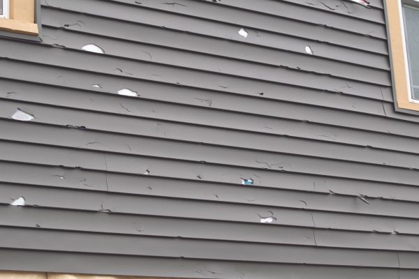 Cost of Damaged Siding Replacement in Cary