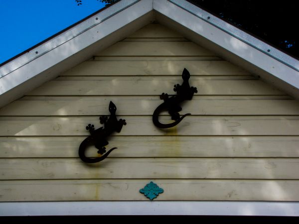 Cost of Shiplap Siding Installation in Cary